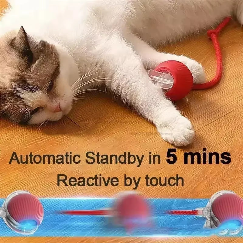 Cat Toys Interactive Ball Cat Accessories Interactive Cat Ball Kitten Catball Toys Electronic Automatic Rolling Magic Ball